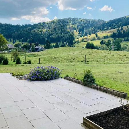 Appartement Black Forest Retreat With Private Sauna St. Blasien